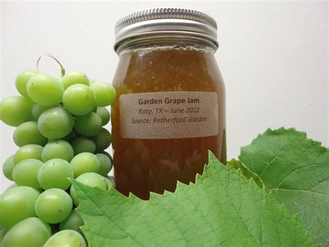 Grape Jelly   Useful Knowledge